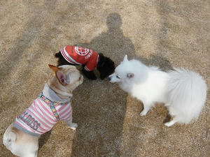 20110213-12.jpg