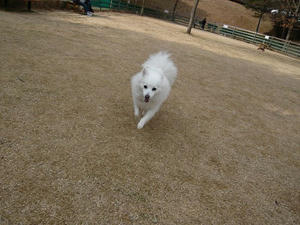20110213-13.jpg