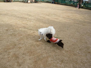 20110213-15.jpg