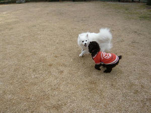 20110213-16.jpg