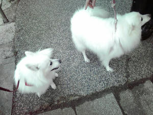 20110219-1.jpg