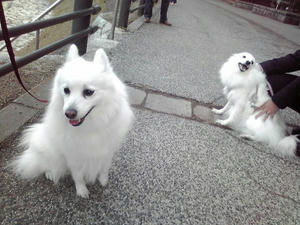 20110219-2.jpg