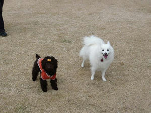 20110220-1.jpg