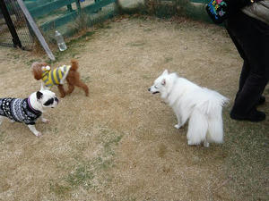 20110220-2.jpg