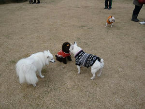 20110220-3.jpg