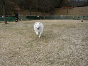 20110220-4.jpg
