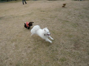 20110220-6.jpg