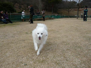 20110220-7.jpg