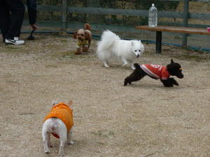 20110220-8.jpg