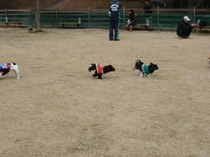 20110220-9.jpg