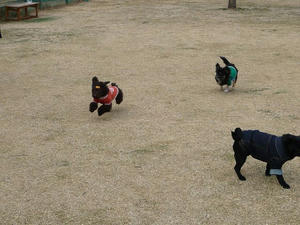 20110220-10.jpg