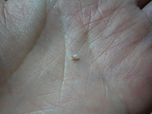 20110220-11.jpg