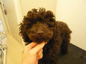 20110222-1.jpg