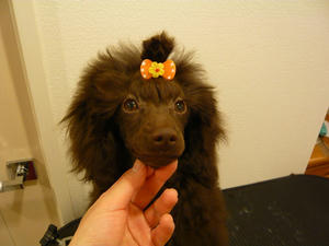 20110222-2.jpg