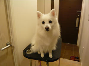 20110223-1.jpg