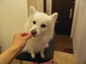 20110223-2.jpg