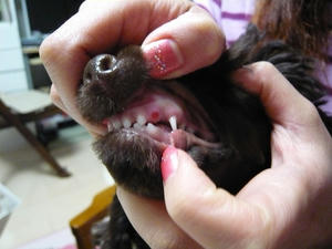 20110304-1.jpg