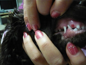 20110304-2.jpg
