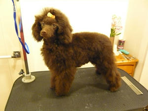 20110309-1.jpg