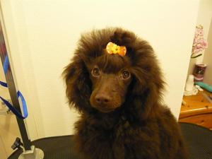 20110309-2.jpg