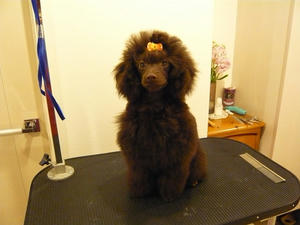 20110309-3.jpg