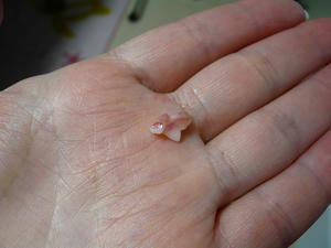 20110313-1.jpg