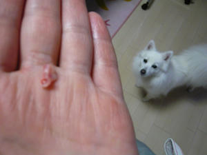 20110313-2.jpg