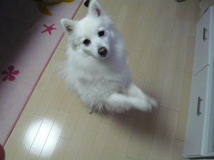 20110313-4.jpg