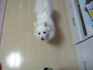 20110313-5.jpg