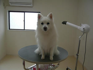 20110326-1.jpg
