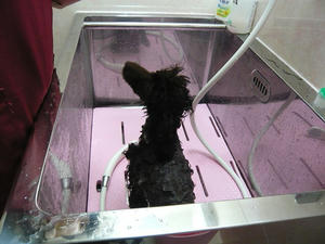 20110326-2.jpg