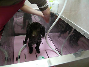 20110326-3.jpg