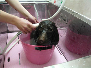 20110326-4.jpg