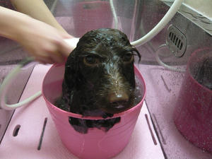 20110326-5.jpg