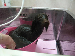 20110326-6.jpg
