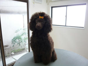 20110326-7.jpg