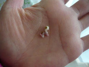 20110327.jpg