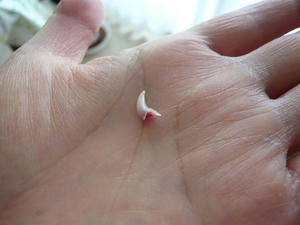 20110410.jpg