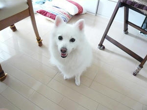 20111009-1.jpg