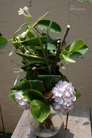 IMGP6856si.jpg