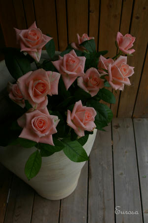 IMGP7013si.jpg