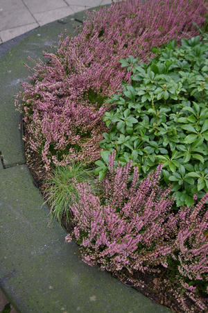 IMGP4000si.jpg