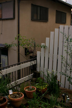 IMGP2917b.jpg
