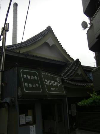 IMGP0141.JPG