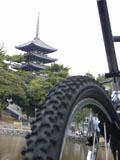 興福寺五重塔とおやじ号