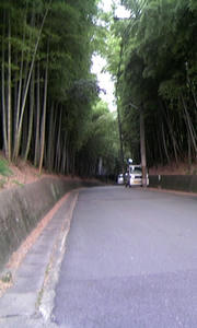 070801_1632~01.JPG