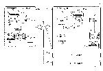 file-1.gif