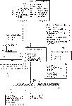 tantai-test-1.gif