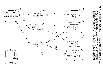 test-shiyou-1.gif