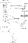 syouhin-kanri-2.gif